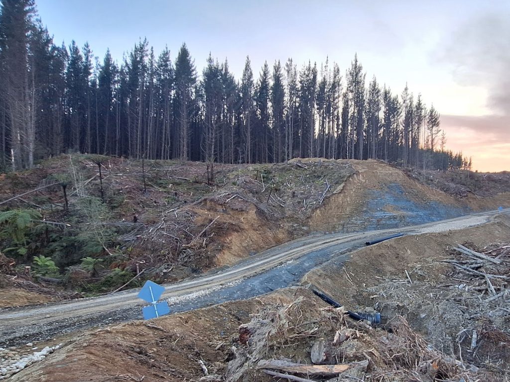 forestry-hydroseeding-gisborne1